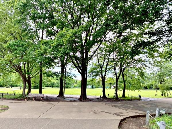 ルネ浜田山(柏の宮公園)