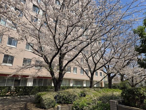 パークシティ杉並セントラルタワー