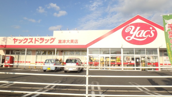 富津市西大和田の土地(ヤックスドラッグ富津大貫店)