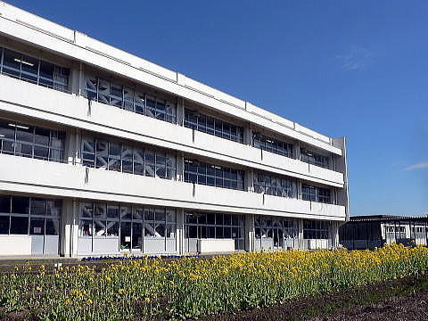 君津市南子安4丁目の土地(君津市立南子安小学校)