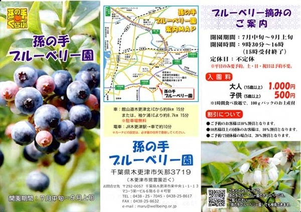 君津市根本の土地(孫の手ブルーベリー園)