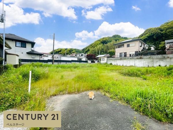 君津市坂田の土地