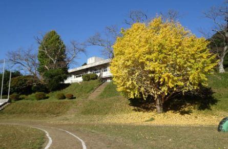 木更津市矢那の中古一戸建て(木更津市立鎌足小学校)