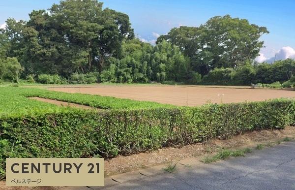 市原市山木の土地