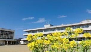鴨川市来秀の土地(鴨川市立田原小学校)