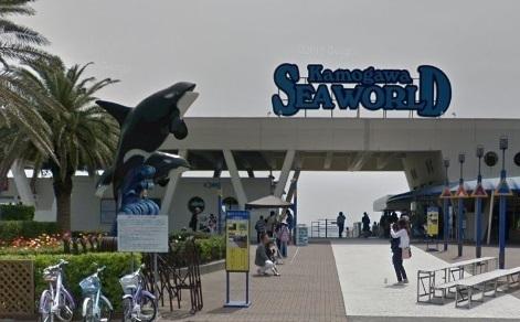 JR外房線 鴨川市広場 売アパート(鴨川シーワールド)