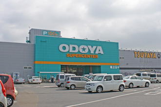 館山市上真倉の土地(ODOYAスーパーセンター館山店)