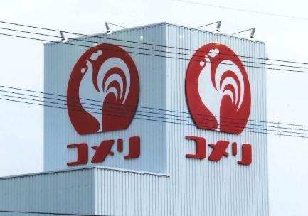 館山市上真倉の土地(コメリパワー館山店)