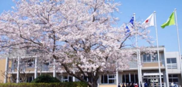 茂原市茂原の土地(茂原市茂原中学校)