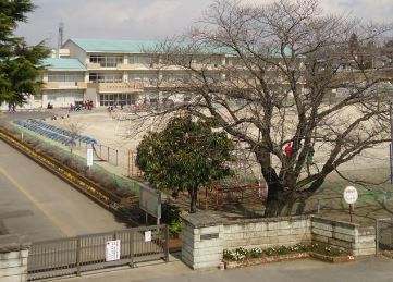 市原市辰巳台西４丁目の土地(市原市立辰巳台西小学校)