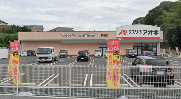 袖ケ浦市奈良輪の土地(クスリのアオキ神納店)