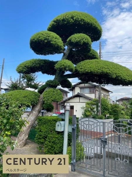 木更津市畑沢南６丁目の中古一戸建て
