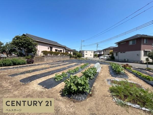 木更津市金田東４丁目の土地