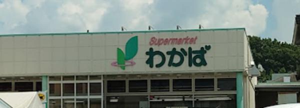 ダイアパレス千葉青葉台サウスアベニュー(スーパーわかば)