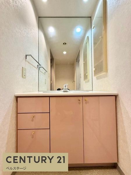 JR内房線　姉ヶ崎パークホームズ　中古マンション