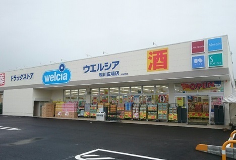 君津市糠田の土地(ウエルシア君津中島店)