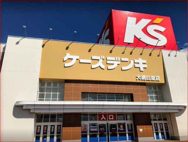 大網白里市大網の中古一戸建て(ケーズデンキ大網白里店)