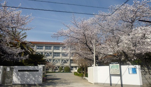館山市北条正木の土地(館山市立北条小学校)