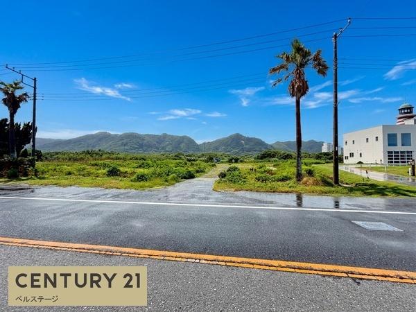 南房総市白浜町白浜の土地