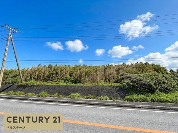南房総市白浜町滝口の土地