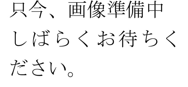 鶴ヶ島市富士見第二　1号棟(鶴ヶ島市立栄小学校)