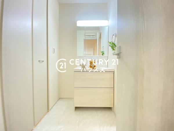 鶴ヶ島市富士見第二 2号棟(洗面台・洗面所)