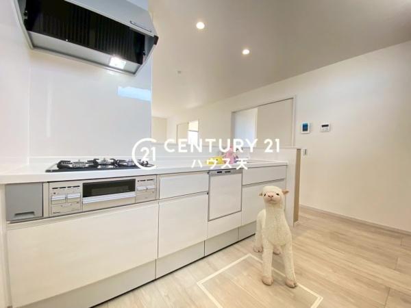 KIS坂戸市片柳5期1号棟