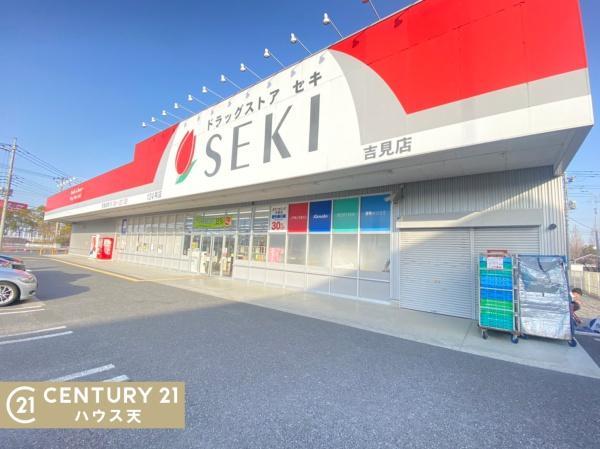 比企郡吉見町東野1丁目の新築一戸建(ドラッグストアセキ吉見店)