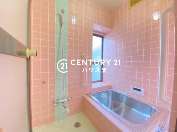 鶴ヶ島市大字下新田の中古一戸建て