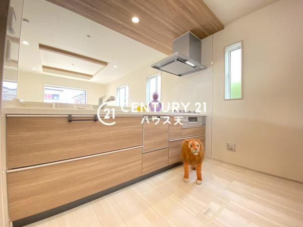 坂戸市鶴舞2丁目5期1号棟