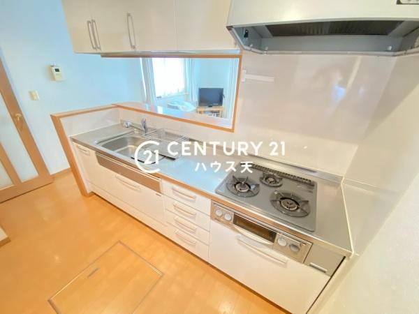 坂戸市花影町の中古一戸建て