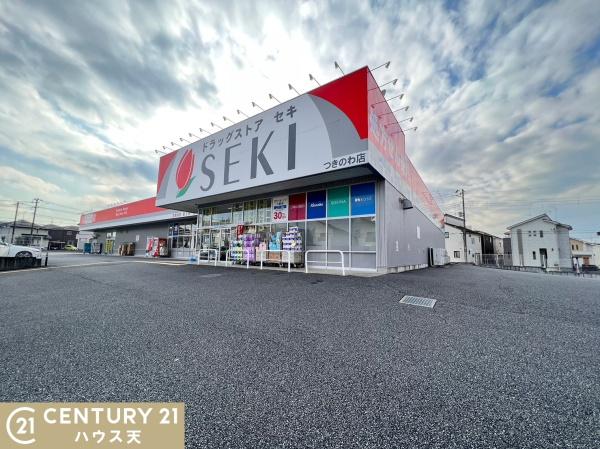 滑川町月輪新築戸建(ドラッグストアセキつきのわ店)