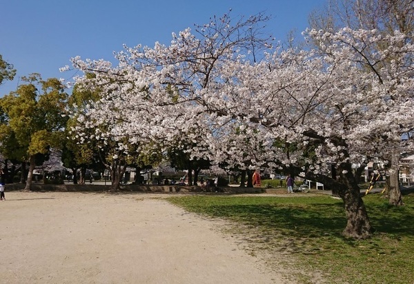岡崎市伊賀町字東郷中の中古一戸建て(井田公園)