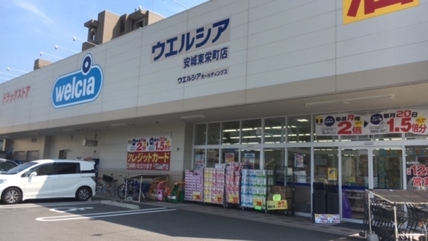安城市里町新築戸建全2棟2号棟(ウエルシア安城東栄町店)