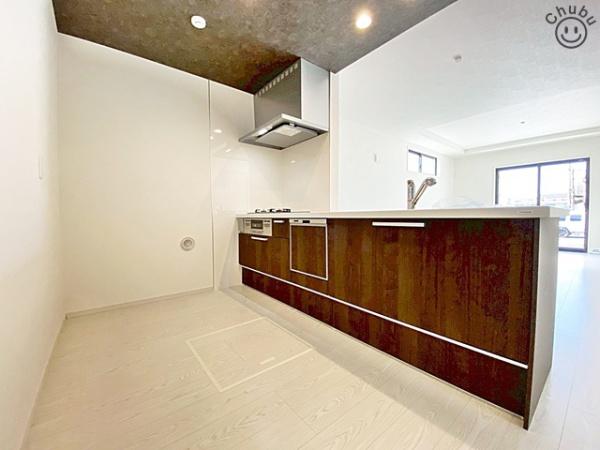 岡崎市欠町　新築戸建全1棟