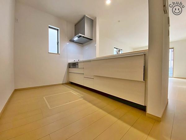 豊田市竹元町新築戸建全2棟1号棟