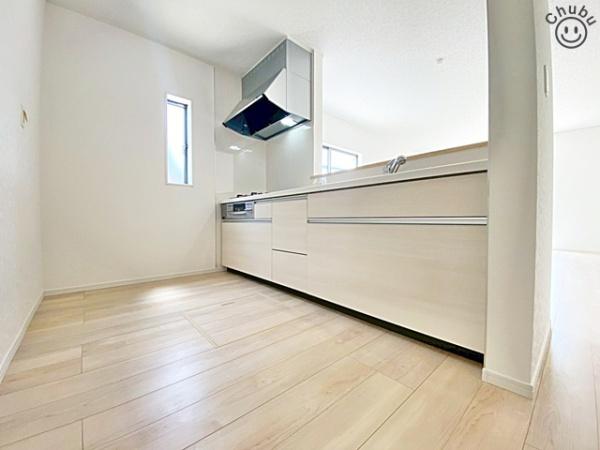 豊田市配津町新築戸建全1棟
