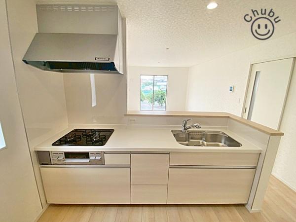 豊田市西岡町新築戸建全1棟