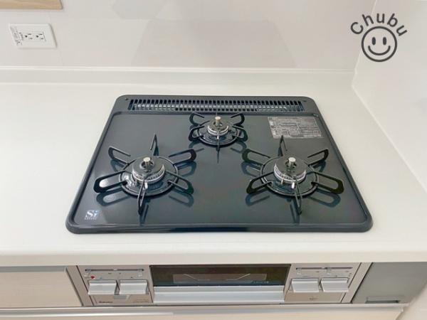 岡崎市大西新築戸建全3棟3号棟