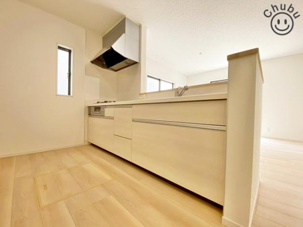 豊田市宝来町新築戸建全2棟1号棟