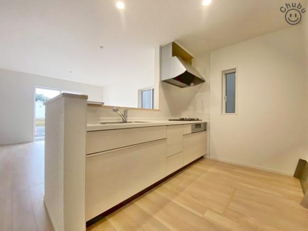 岡崎市矢作町新築戸建全2棟1号棟