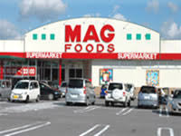 岡崎市本宿台新築戸建全5棟1号棟(マグフーズ本宿店)