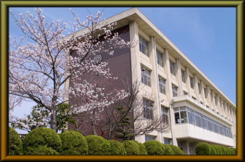 東郷町春木台新築戸建全2棟1号棟(東郷町立春木中学校)