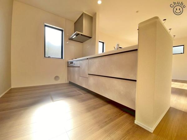 豊田市広田町新築戸建全1棟