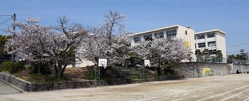 豊田市広美町新築戸建全3棟2号棟(豊田市立高嶺小学校)
