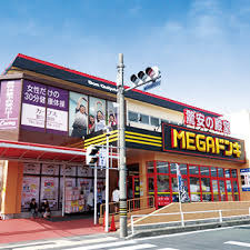 豊川市長沢町大覚の中古一戸建て(MEGAドン・キホーテUNY国府店)