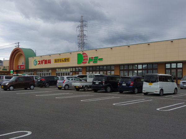 幸田町菱池新築戸建全6棟1号棟(ドミー幸田店)