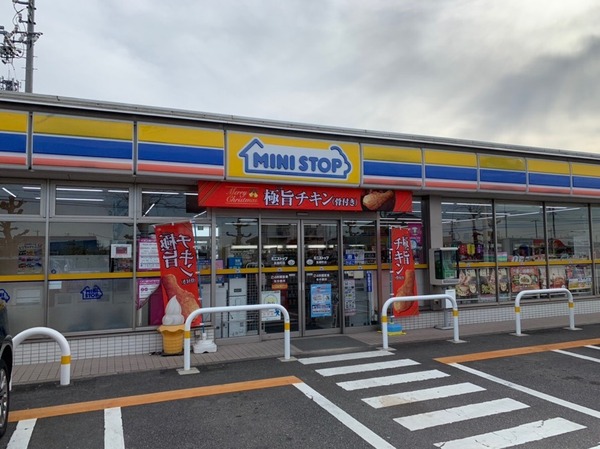 安城市榎前町新築戸建全2棟1号棟(ミニストップ高棚町店)