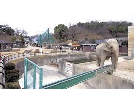 岡崎市元欠町３丁目の土地(東公園)