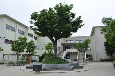 岡崎市緑丘3丁目新築戸建全2棟2号棟(岡崎市立緑丘小学校)